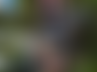 Mortes após queda de aviões sobem ao maior número em 10 anos no Brasil