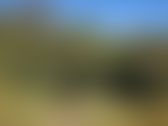 TJMG condena produtor rural de Simonésia a indenizar por danos ambientais e recuperar área desmatada