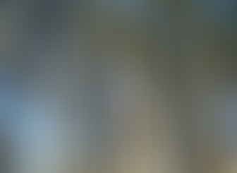 Justiça de Minas responsabiliza contratantes por lesões em trabalhador durante corte de eucalipto