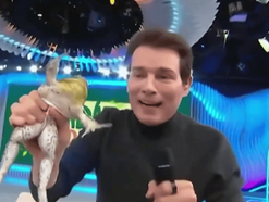 Celso Portiolli e SBT são investigados por supostos maus-tratos a animal no programa Domingo Legal