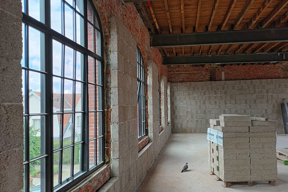 Casas construídas com cânhamo ganham espaço na Europa como alternativa para enfrentar ondas de calor