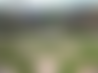 Poços de Caldas receberá centro de processamento de terras raras sem insumos chineses