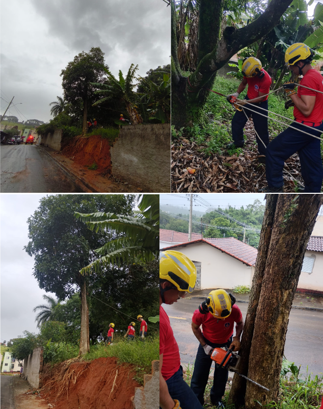 Bombeiros de Andradas fazem corte de árvore com risco iminente de queda