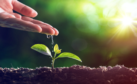 Varginha lidera preocupação ambiental, mas engajamento político ainda é baixo, aponta Unifal