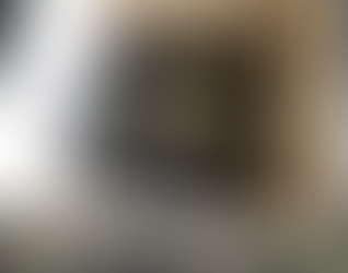 Filhotes encontrados em caixa são resgatados em estado crítico em Varginha