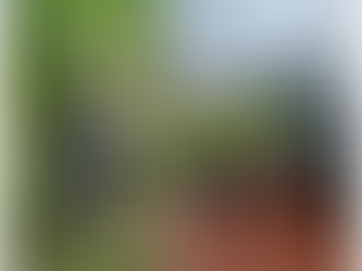 Polícia Civil prende quatro homens e apreende adolescentes por furto de motos em Martinho Campos