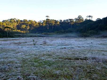 Frio intenso coloca cidades mineiras entre as mais geladas do Brasil