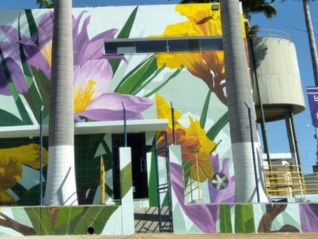 Segunda edição do Arte nas Águas de Minas abre edital em Belo Horizonte na etapa final do projeto