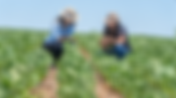 Mais de 180 mulheres reunidas no 4º Encontro das Mulheres do Agro de Boa Esperança