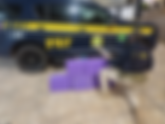 Perseguição na BR-262 acaba com apreensão de 93 kg de maconha em Minas