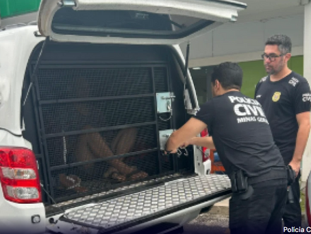 Dois suspeitos de homicídio são presos em Poços de Caldas