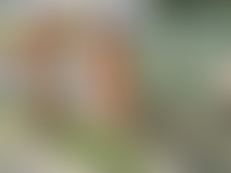 Limpeza urbana avança em bairros e principais avenidas de Varginha