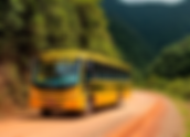 Município é obrigado a indenizar por não garantir transporte escolar adaptado