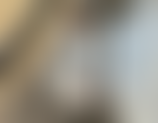 Minas atinge meta nacional e vacina 80% das bezerras contra brucelose em 2024