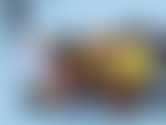 Vitória de revanche: lutadora de Varginha domina Bruna Brasil em atuação consistente no UFC Seattle