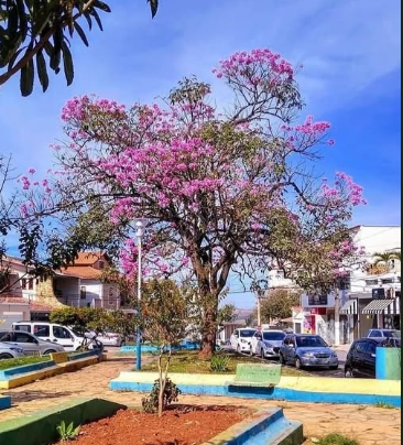 Motociclista fica ferido em colisão com carro na Praça São Charbel, em Varginha