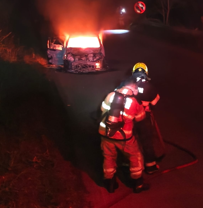 Frenagem causada por capivaras termina em acidente e incêndio de veículo no Centro-Oeste de Minas