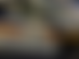 Polícia Militar localiza criança autista desaparecida em área de mata em Barbacena