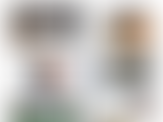 Jornal Gazeta de Varginha Edição 11.568