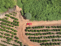 Corpo de idosa desaparecida é encontrado em córrego na zona rural de Campestre