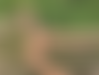 Corpo de idosa desaparecida é encontrado em córrego na zona rural de Campestre