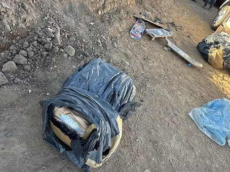 Justiça manda soltar segundo suspeito de tentar enviar 400 kg de cocaína para a Europa pelo Aeroporto de Guarulhos