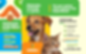 Campanha antirrábica vai imunizar pets de Varginha a partir deste mês