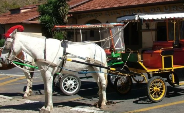 fonte: varginha online