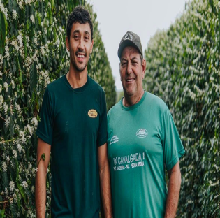 Repordução