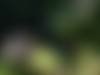 Varginha recebe evento da Federação Mineira de Trekking e Enduro a Pé, patrocinado pela Cemig