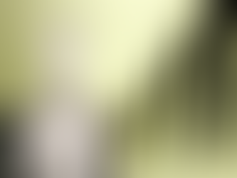 Alexandre de Moraes determina prisão domiciliar de Bolsonaro após falas divulgadas nas redes sociais