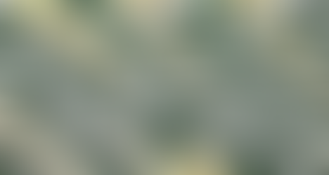 Mega-Sena sorteia prêmio acumulado de R$ 17 milhões nesta quinta-feira