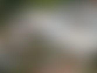 General Mills amplia fábrica em Minas Gerais com investimento de R$ 50 milhões