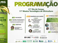 Maria da Fé recebe maior evento da olivicultura de Minas com programação gratuita