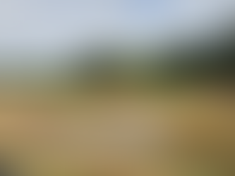 Chuvas na Zona da Mata: produtores de Ubá contabilizam os prejuízos