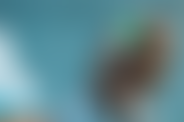 Vacina contra gripe: atendimento até às 20h facilita acesso em Varginha