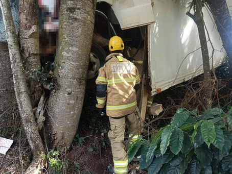 Motorista morre após colidir caminhão contra árvore na rodovia entre Serrania e Campestre