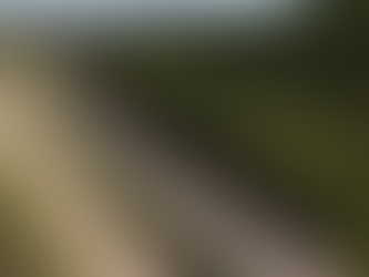 Operação Carnaval 2025 reforça segurança nas rodovias do Sul de Minas e Vias do Café