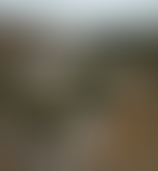 Cefet-MG oferece cinco vagas de estágio em Varginha