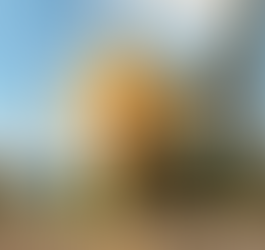 Atendimentos gratuitos do NAF retornam à PUC Minas em parceria com a Receita Federal