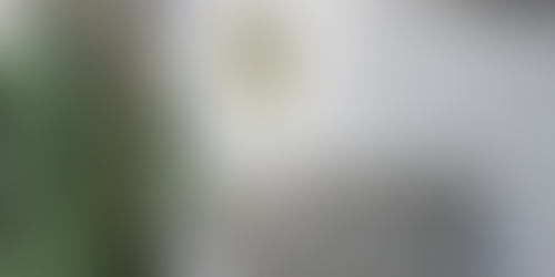 Laboratório da Epamig realiza avaliações que identificam as potencialidades da azeitona e do azeite