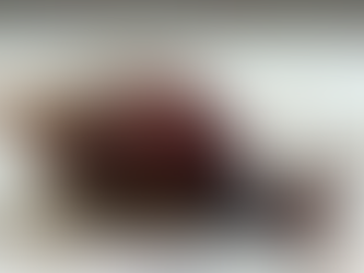 Moradores de Alfenas denunciam infestação de caramujos africanos