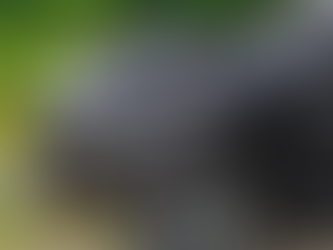 Concessionaria e condenada por acidente em pista danificada