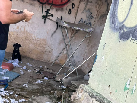 Homem é preso por maus-tratos após cadela ser encontrada morta em Campo Belo