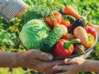 IFSULDEMINAS Poços de Caldas abre chamada pública para compra de alimentos da agricultura familiar destinados à merenda escolar