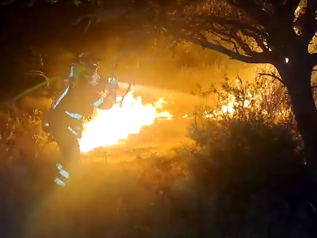 Bombeiros intensificam combate a incêndios florestais em diversas regiões da Espanha