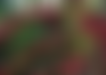 Circuito Mineiro da Cafeicultura 2025 começa em Cabo Verde com foco na sustentabilidade