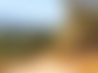 Produtor rural terá de restaurar área degradada sem licença ambiental