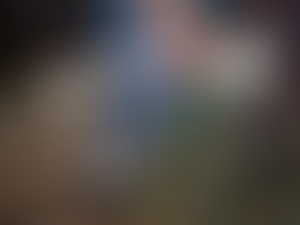 Idoso de bicicleta morre após ser atingido por caminhão na BR-459