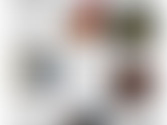 Jornal Gazeta de Varginha Edição 11.925